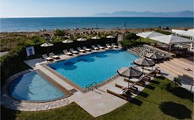 Restia (Adults Only)